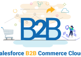 Salesforce B2B Commerce Lightning: A Comprehensive Guide for Businesses