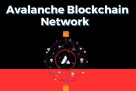 What is Avalanche Blockchain Network (AVAX)? How Does Avalanche Network Work?