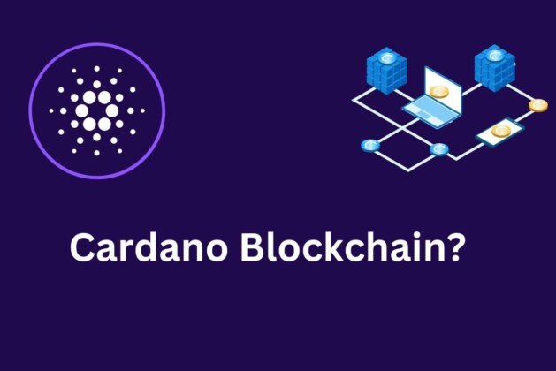 What is Cardano Blockchain? How Does It Work? What Does Cardano Blockchain Do?