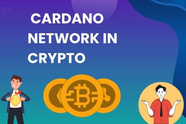 What is the Cardano Network in Crypto? How Does It Work?