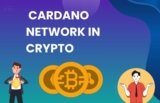 What is the Cardano Network in Crypto? How Does It Work?